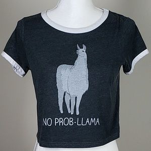 No prob-llama crop top